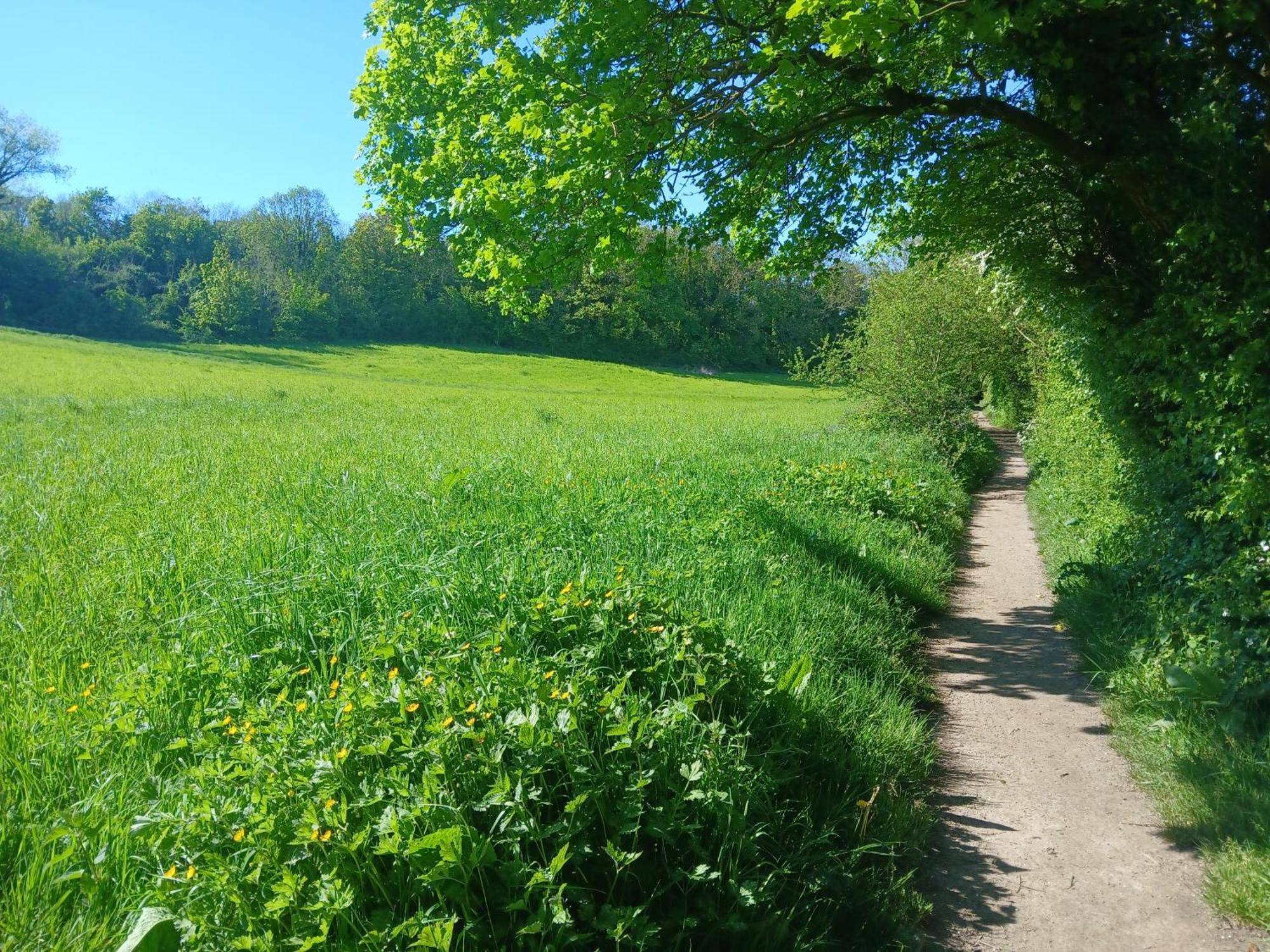 Сasa de vacaciones Au Petit Wissant Marquise