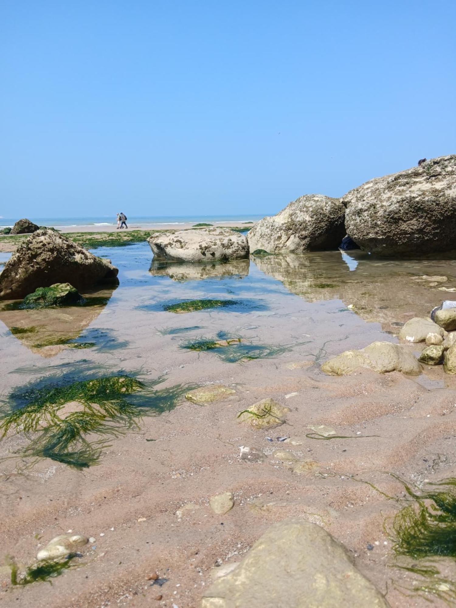 Au Petit Wissant *