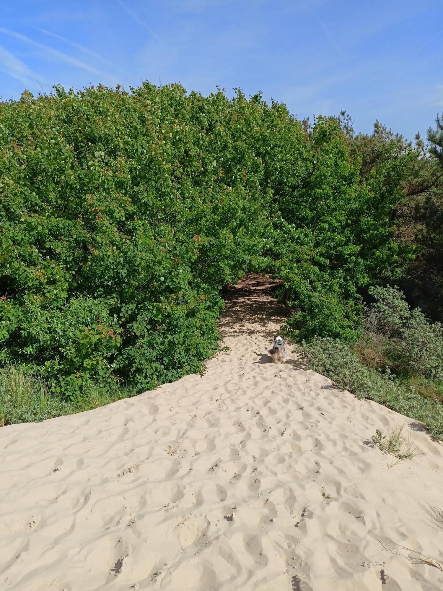 Au Petit Wissant Holiday home
